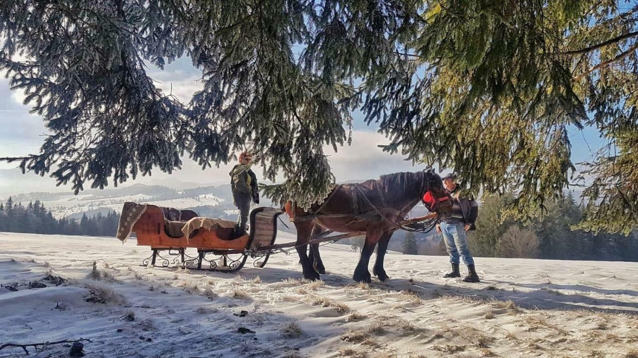 Casa Bradet Guest House Întorsura Buzăului Eksteriør bilde