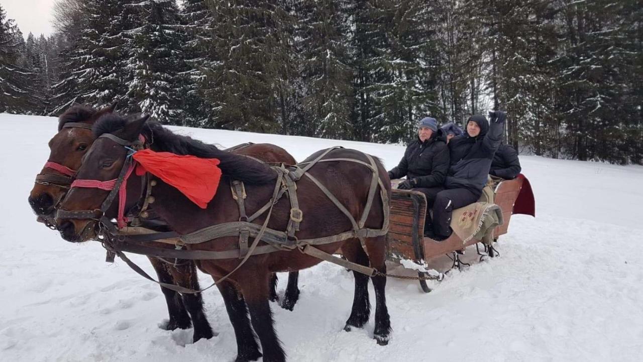 Casa Bradet Guest House Întorsura Buzăului Eksteriør bilde